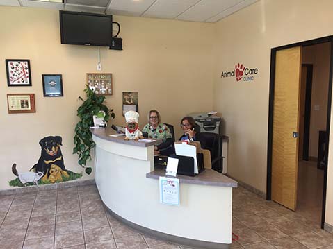 Reception Desk